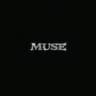 Muse