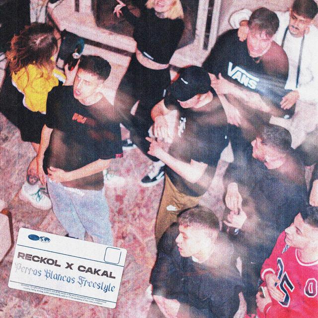 Album cover art for Perros Blancos