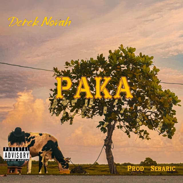Album cover art for Paka