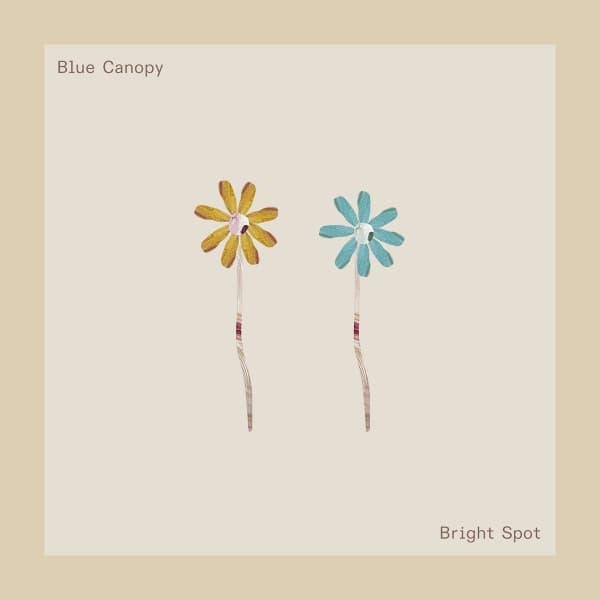 Album cover art for Bright Spot