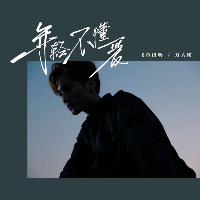 Album cover art for 年轻不懂爱
