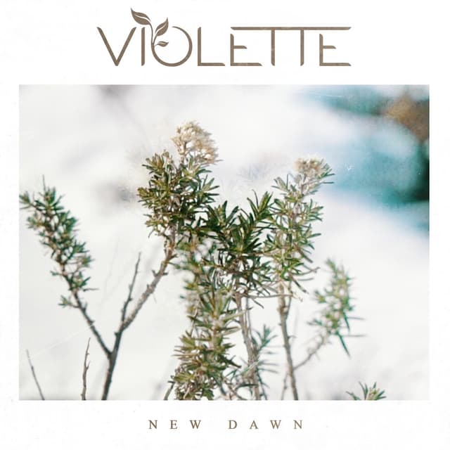 Album cover art for New Dawn