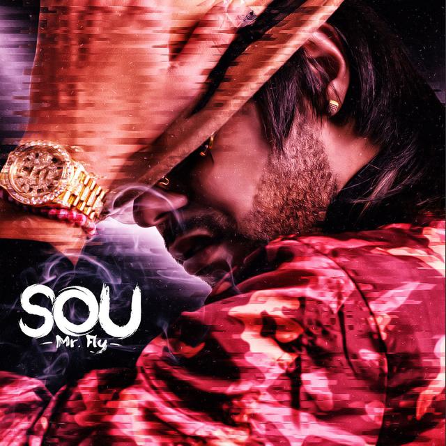 Album cover art for Mr. Fly