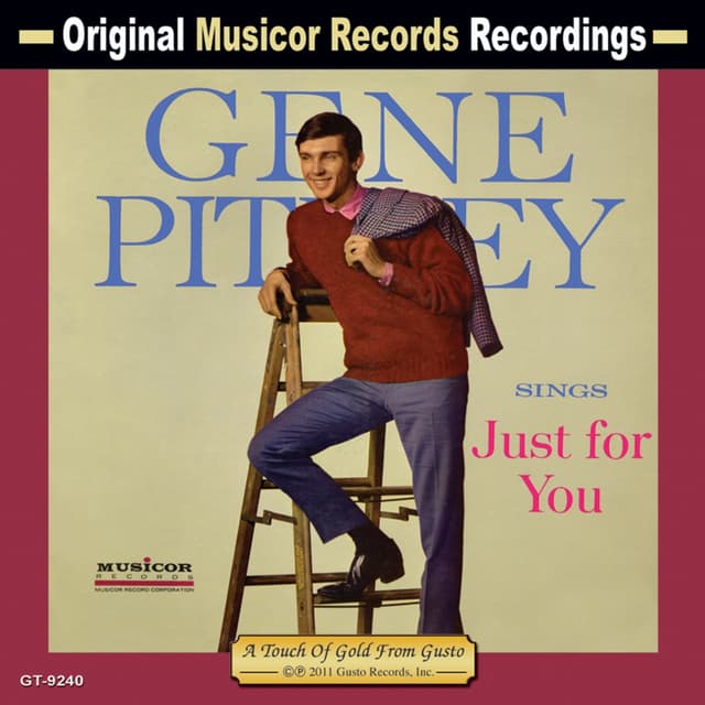 Album cover art for Sings Just for You