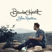 Album cover art for Blue Mountain