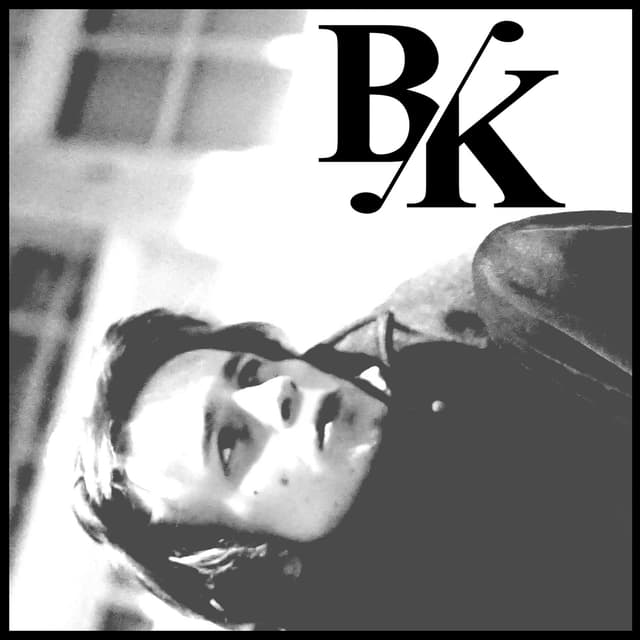 Album cover art for Hayır