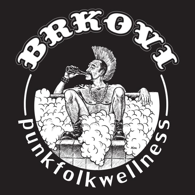 Album cover art for Punkfolkwellness