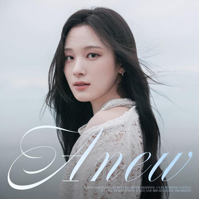 Album cover art for A N E W