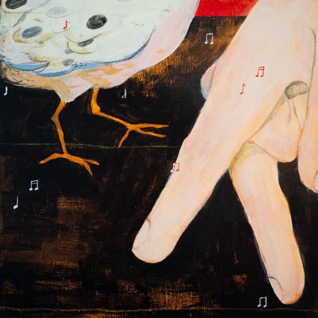 Album cover art for Bonanza