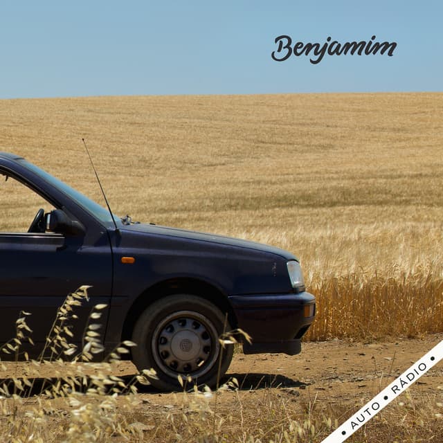 Album cover art for Auto Rádio