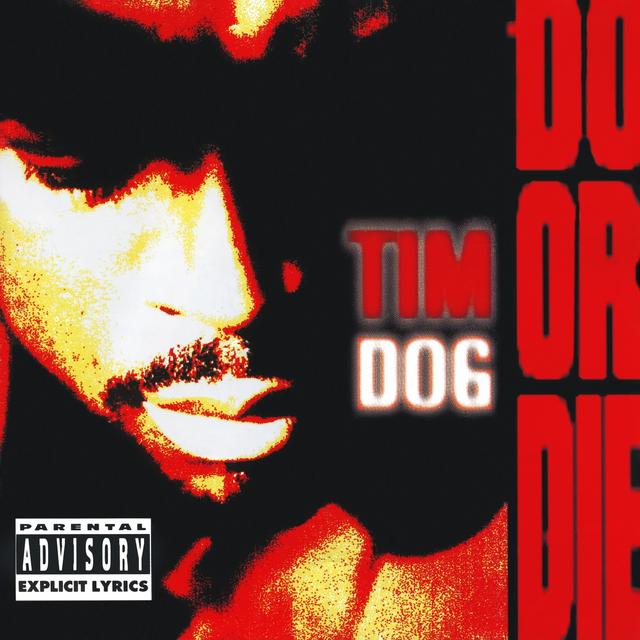 Album cover art for Do Or Die