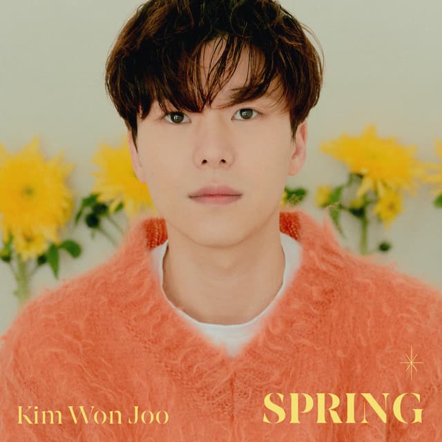 Album cover art for SPRING