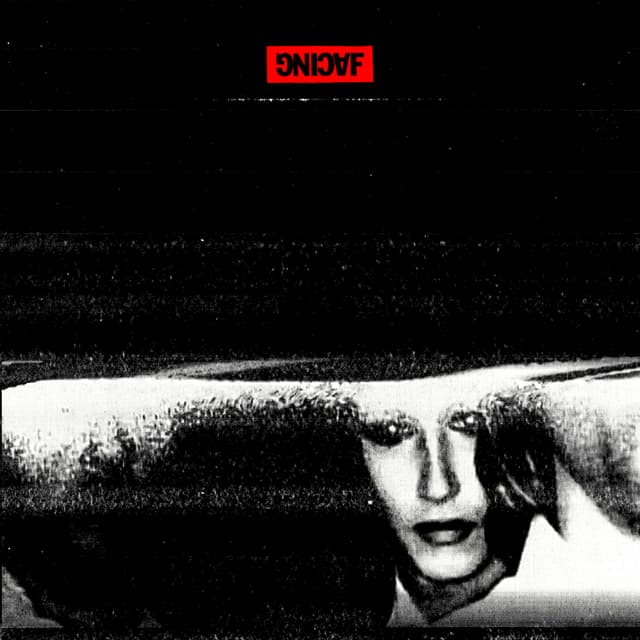 Album cover art for Temporary Bodies
