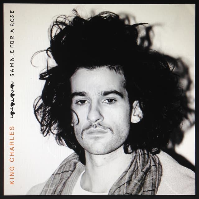 Album cover art for Gamble For A Rose