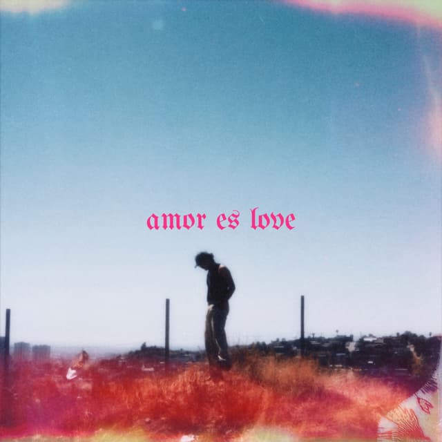 Album cover art for amor es love