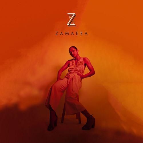 Album cover art for Z vs Z