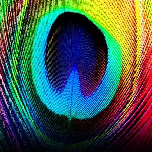 Album cover art for Peacock