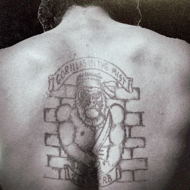 Album cover art for TERRITORIAL