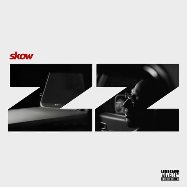 Album cover art for ZZ