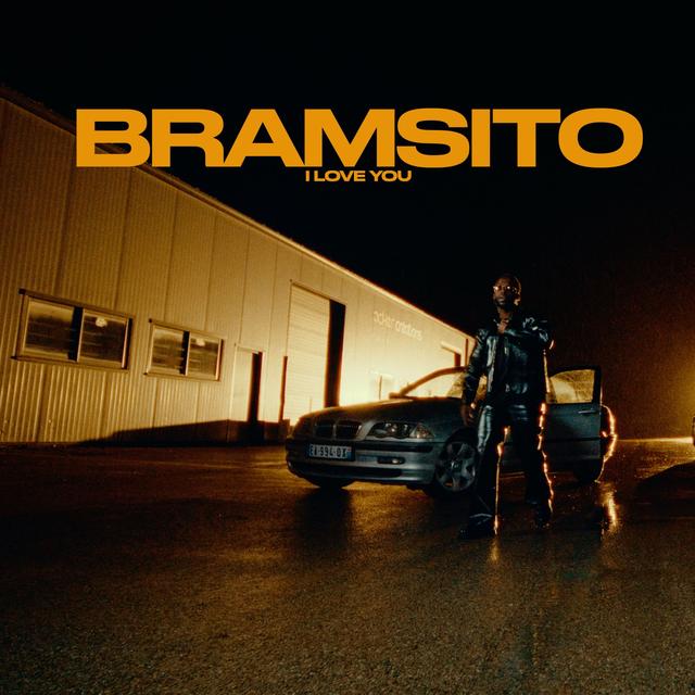Album cover art for I LOVE YOU