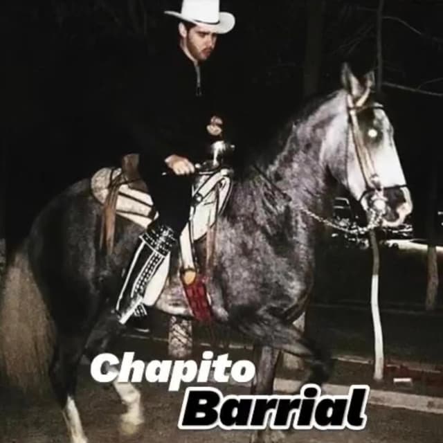 Album cover art for Los Chapitos Del Barrial