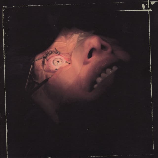 Album cover art for Anatomy Is Destiny