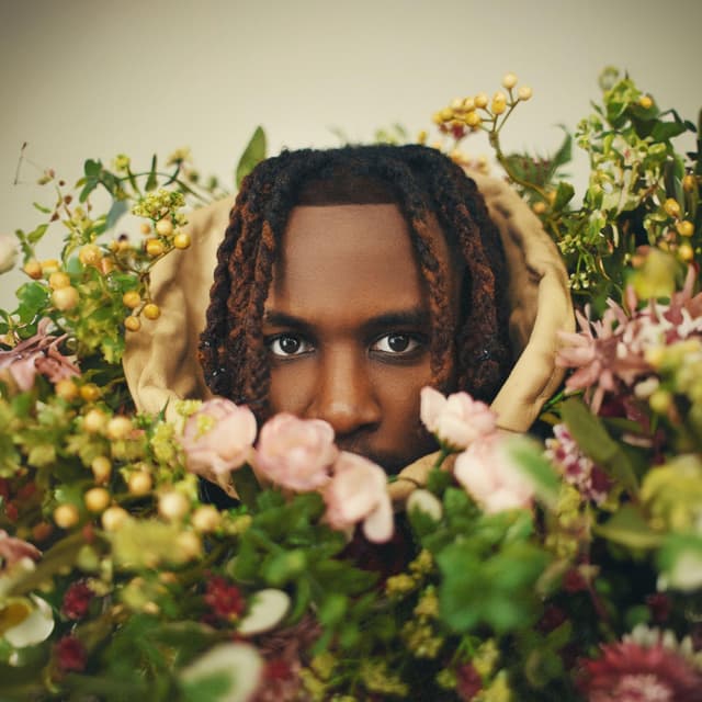Album cover art for PON MY MIND