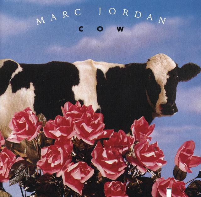 Album cover art for Cow