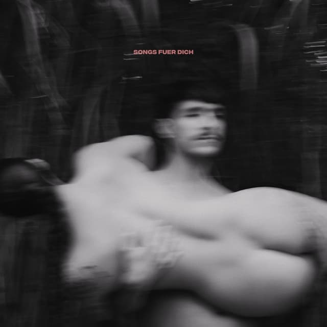 Album cover art for Songs für dich
