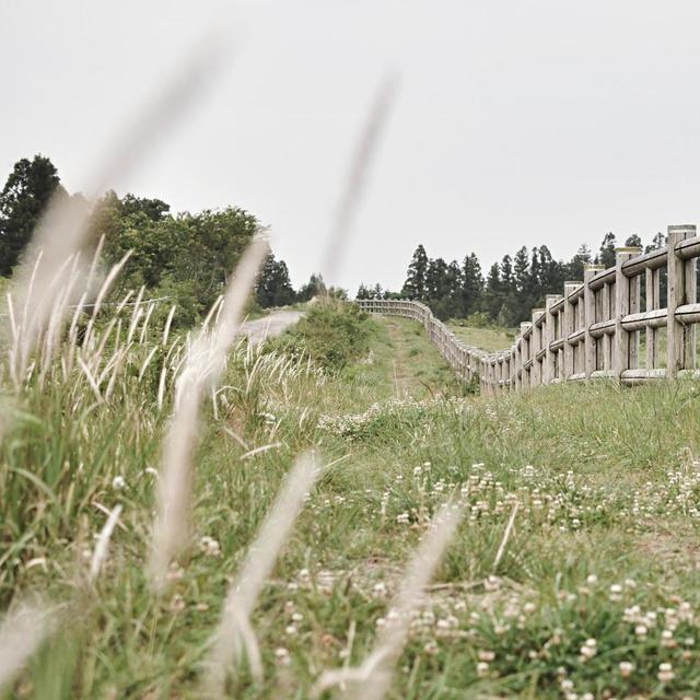 Album cover art for 울타리