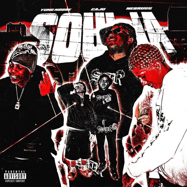 Album cover art for Soulja