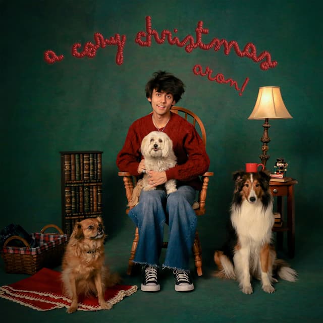 Album cover art for a cozy christmas