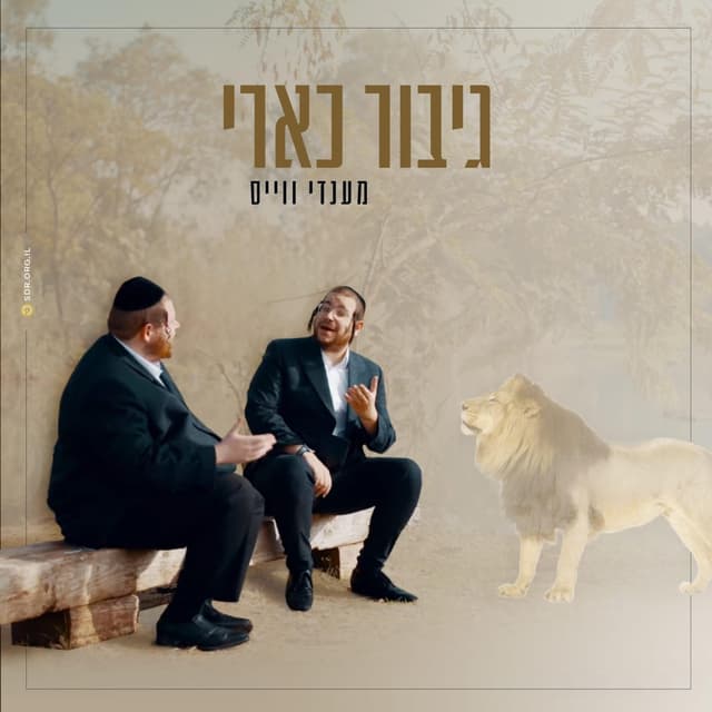 Album cover art for גיבור כארי