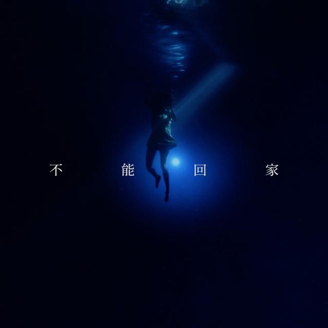 Album cover art for 不能回家