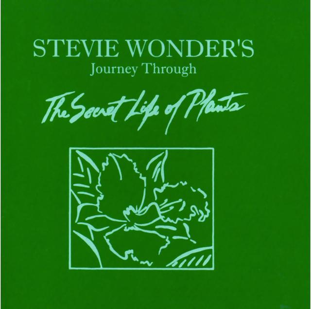 Album cover art for Journey Through the Secret Life of Plants