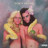 Album cover art for Soft Hair