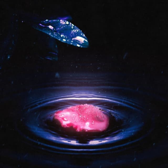 Album cover art for последний лепесток