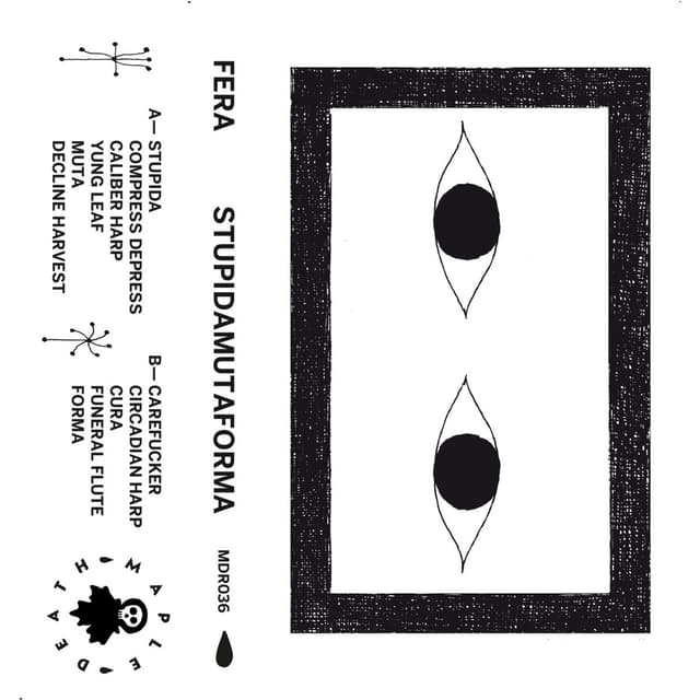 Album cover art for Stupidamutaforma