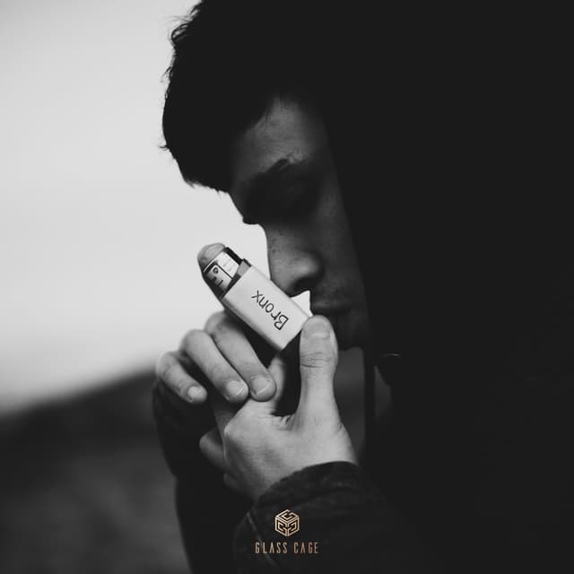 Album cover art for Bronx