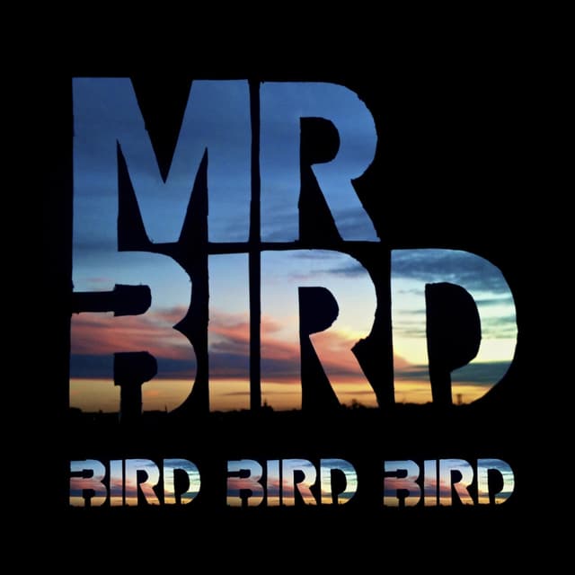 Album cover art for Bird Bird Bird