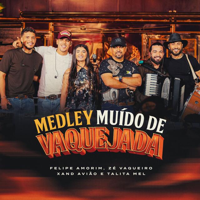 Album cover art for Medley Muído de Vaquejada - Desce do Cavalo / Balada do Vaqueiro / Monta Logo Vai / Calma / Senta No Fazendeiro / Deixa Ela Montar