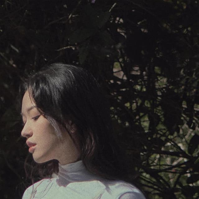 Album cover art for Từ Khung Cửa Sổ Này