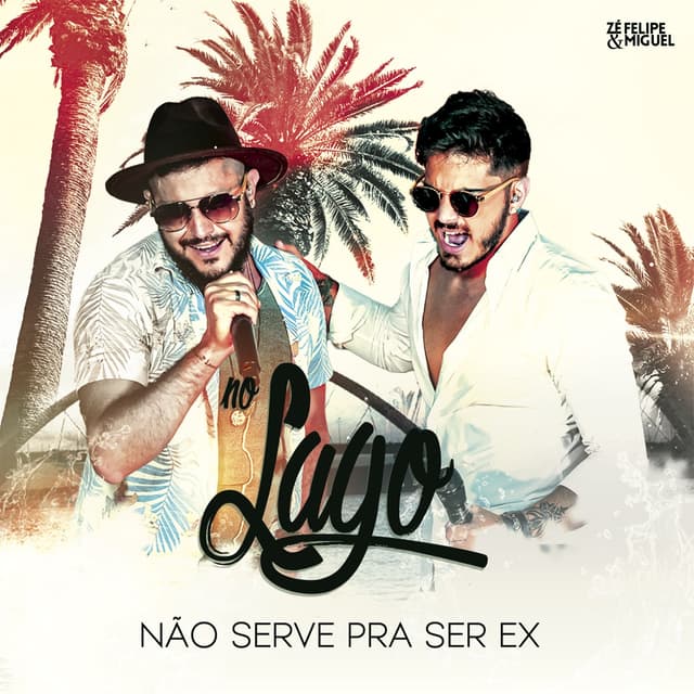 Album cover art for Não Serve Pra Ser Ex