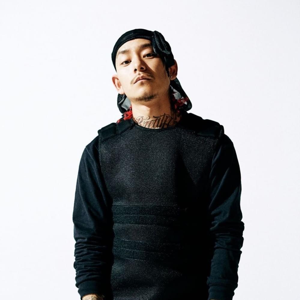 Artist chip image