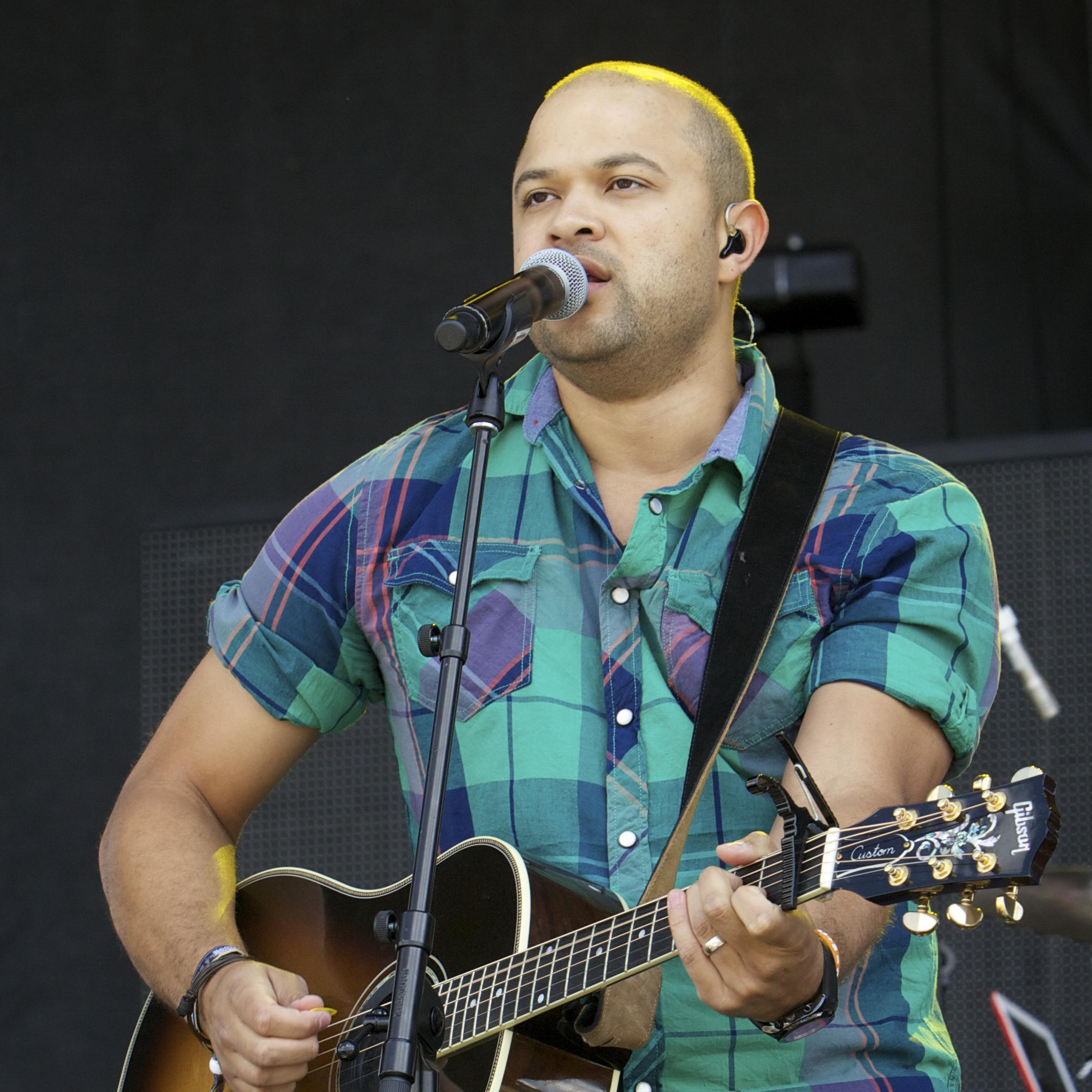 Artist chip image