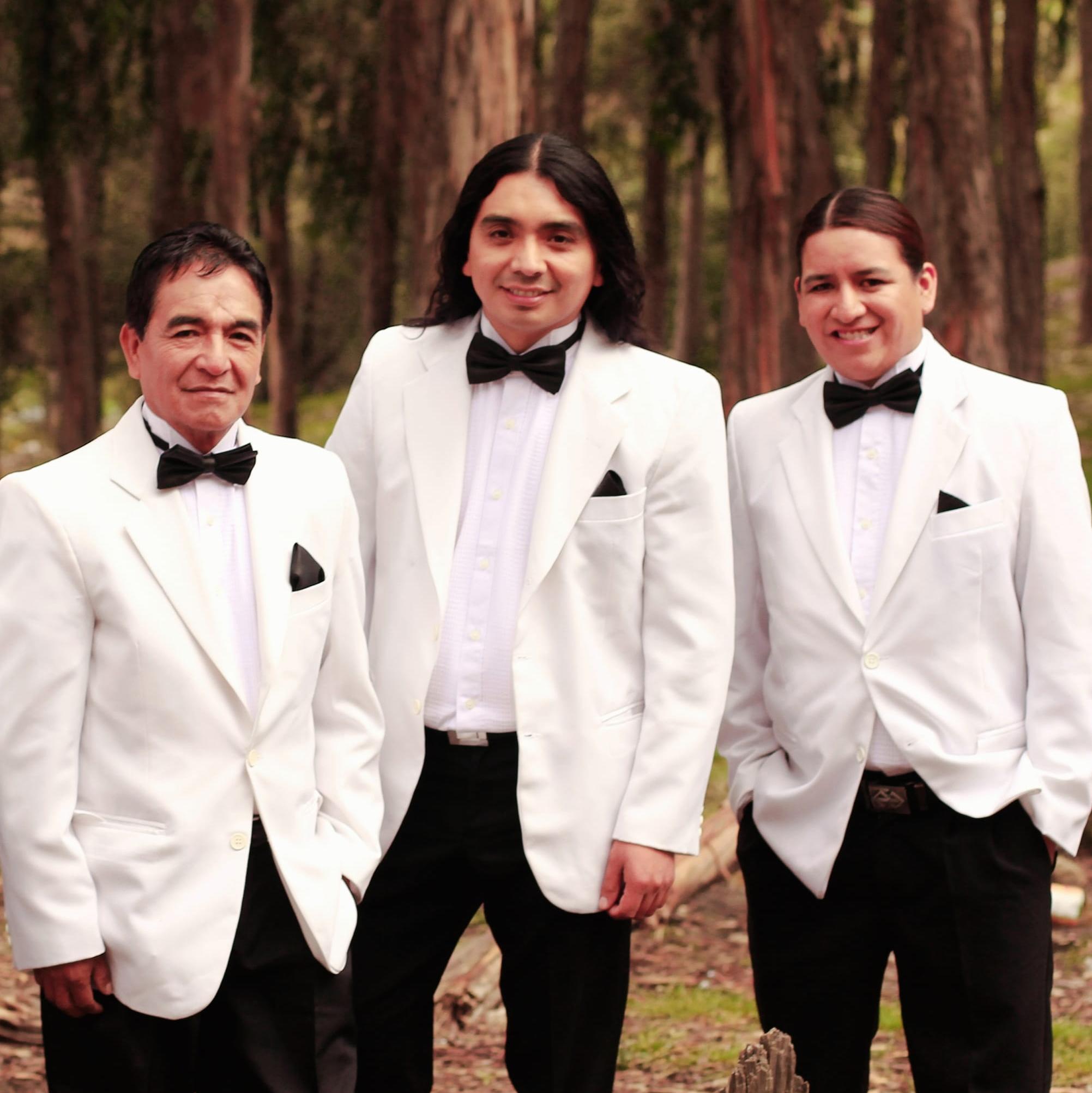 Grupo Sombras