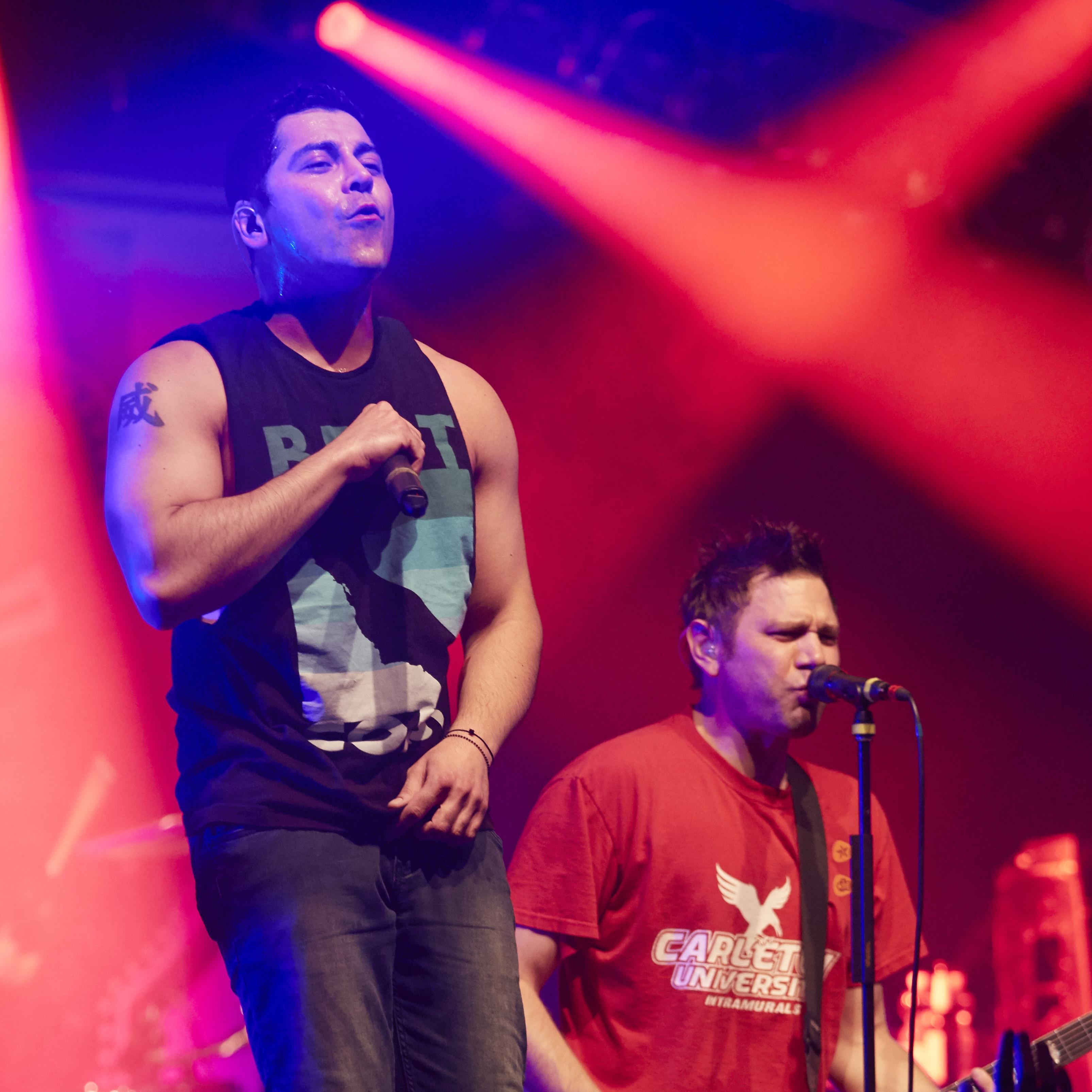 Zebrahead