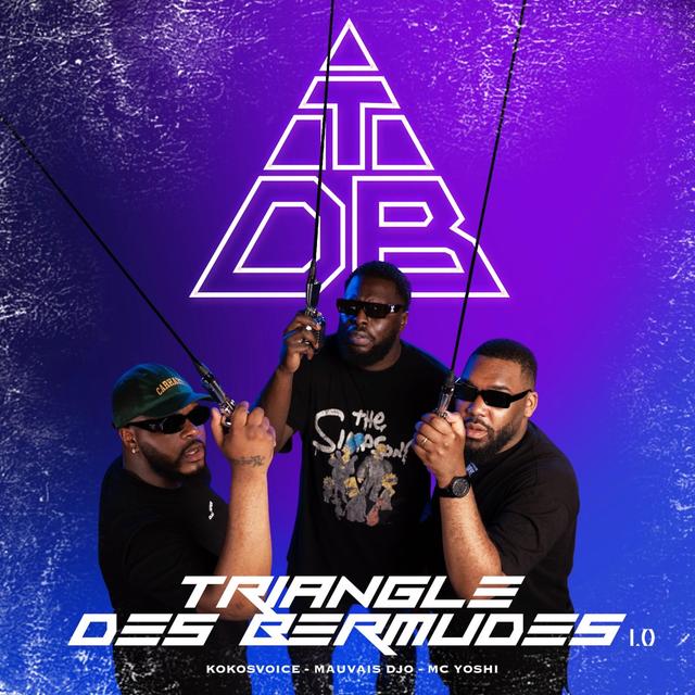 Album cover art for Triangle Des Bermudes 1.0