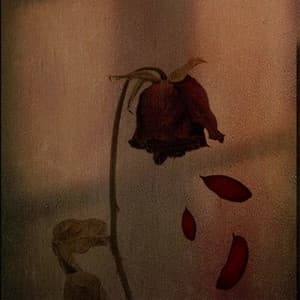 Album cover art for sad hindi covers vol. 5