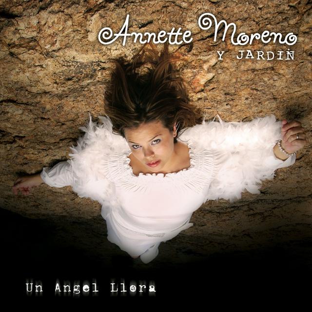 Album cover art for Un ángel llora